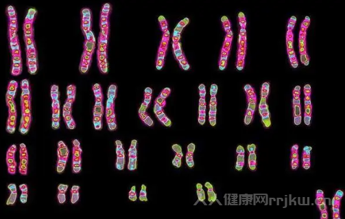 染色体变异的五种类型