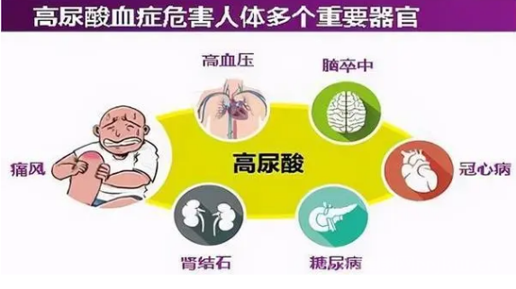 尿酸高的原因和危害